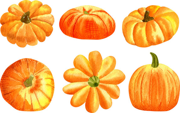 Set of watercolor orange pumpkins and squash. Illustration of autumn vegetables.