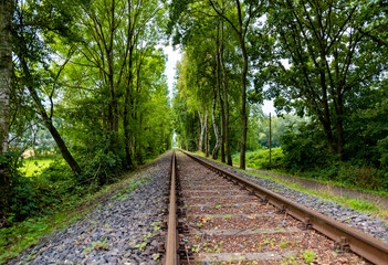 Gleis Eisenbahn Schiene Strecke Profil Bahndamm Wald Bäume Rost Unkraut Vegetation Deutschland...