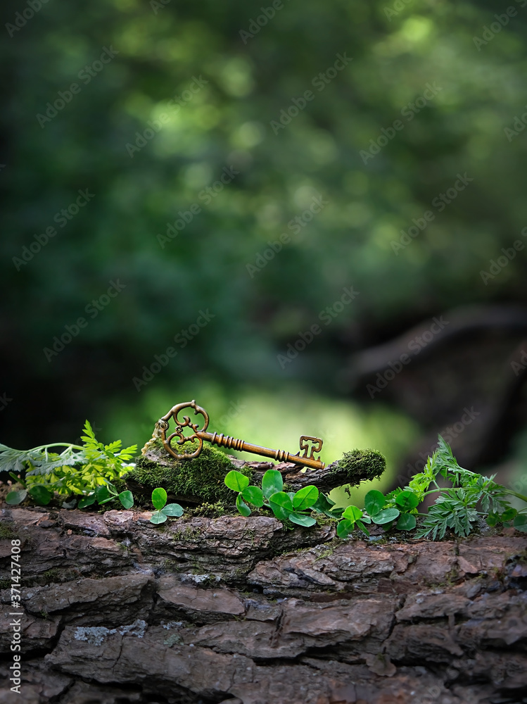 Sticker vintage key on summer forest background. magical beautiful key, concept secret garden. mystery nature image