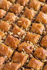 Baklava with walnut standing on the tray