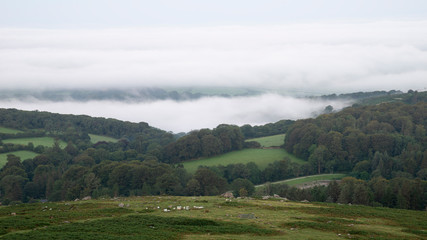 Fototapeta na wymiar Beautiful early morning cloud inversion over Dartmoor National Park in England with thick cloud in valley of forest