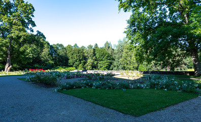 garden in the park