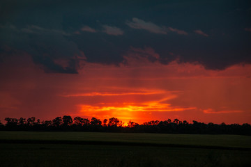 Obraz premium Nature sunset with bright sky. Evening landscape with trees.