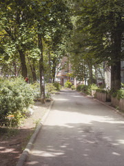 Fototapeta premium A paved road going through a green Russian neighbourhood