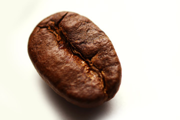 Macro of coffee beans