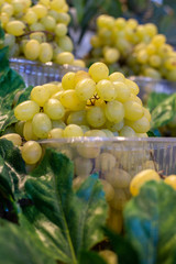 organic grapes ready for sale on the greengrocer counter
