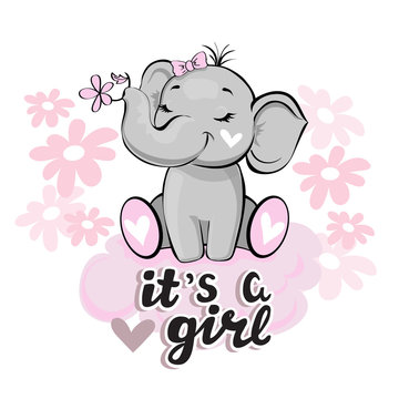 Cute elephant with a pink flower on a white background and the inscription it's a girl. Vector illustration for children