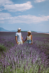 Provence, Lavender field France, Valensole Plateau, colorful field of Lavender Valensole Plateau, Provence, Southern France. Lavender field. Europe. Couple men and woman on vacation at the provence © Fokke Baarssen
