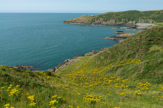 View Towards Port Mara And Lairds Bay On The Southern Upland Way, Dumfries & Galloway.