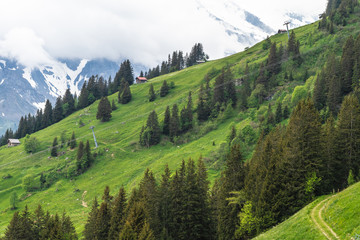 Naklejka premium Green Swiss alps mountain valley with glaciers as background and small wood houses