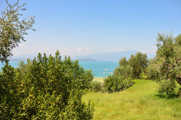 Green glade on the background of the lake and blue sky
