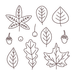 Set of outline autumn leaves. Isolated on white background. Simple hand drawn vector illustration.