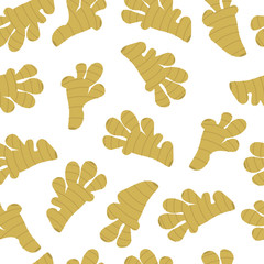 Seamless pattern with ginger root Isolated on white - background with roots