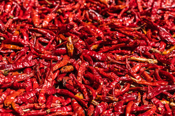 Dried red hot chilli peppers close-up stock photo