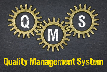 QMS Quality Management System