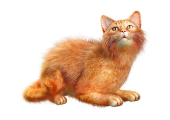 3D Rendering Red Cat on White