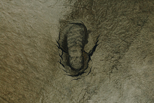 Sole lunaire premier pas