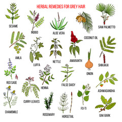 Best herbal remedies for gray hair