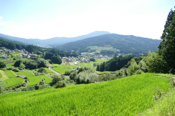 Obraz premium 岐阜県 恵那 坂折棚田