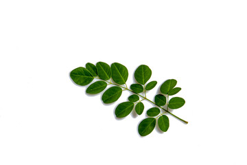 Green leaves with water droplets isolated on white  background.