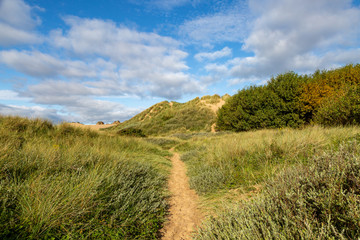 A View of Formby Sand Dunes