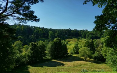 Obraz premium Natural landscape with deciduous trees and meadows on green hills under a bright blue sky on a sunny day.