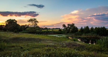 Fototapeta na wymiar evening landscape with a small pond and reeds
