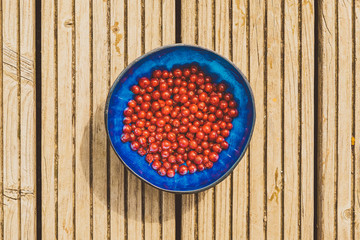 rote Johannesbeeren in blauer Schüssel auf Holz