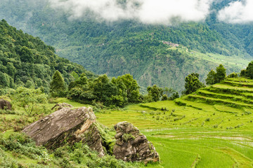 Picture of Himalayas mountains covered with fog. Green hills with forest behind the clouds. Hiking,...