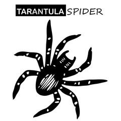 Tarantula Spider Sketch. Halloween Hand Drawn black icon on a white background. Vector illustration