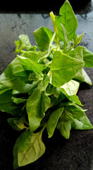 Delicious fresh spinach from the organic fair.