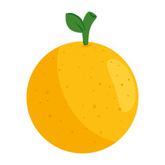 orange fresh and healthy fruit, in white background vector illustration design