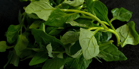 Delicious fresh spinach from the organic fair.