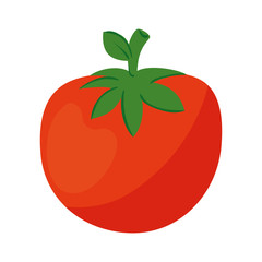 fresh tomato vegetable in white background vector illustration design