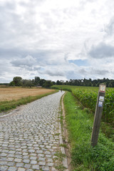I took this photo during a trip with our little Columbus. Here was our resting place on top of the Kwaremont. Since 1986, the slope has been best known in cycling for the cycling race of the Tour of F