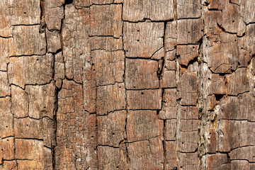 Cracked old wood surface