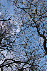 A view of Leighton Moss Nature Reserve