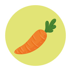 fresh carrot vegetable in round frame, on white background vector illustration design