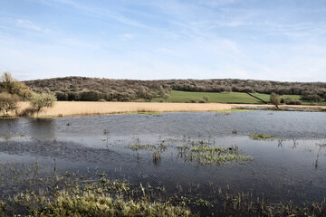 A view of Leighton Moss Nature Reserve