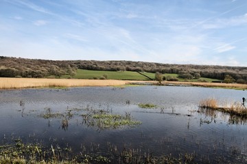 Fototapeta premium A view of Leighton Moss Nature Reserve