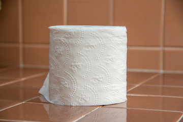 Toilet paper on a roll in the bathroom