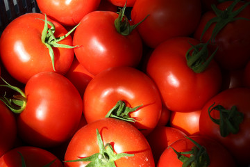 fresh and organic tomatoes in a market