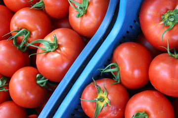 fresh and organic tomatoes in a market