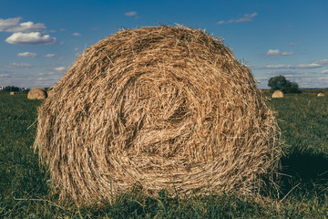 bales of hay
