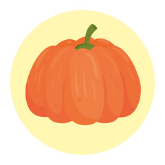 fresh pumpkin in round frame, on white background vector illustration design