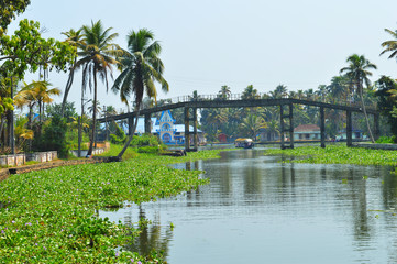 Fototapeta na wymiar Beautiful scenery of backwaters with a pedestrial bridge in view.