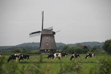 Landschaft in Holland