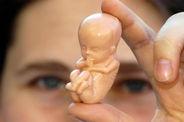 human embryo or fetus symbol