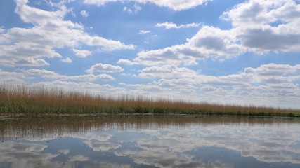 Füsinger Au an der Mündung