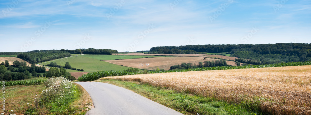 Sticker cornfields and meadows under blue sky in french pas de calais near boulogne